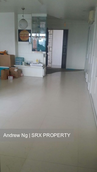 Blk 13 Farrer Park Road (Kallang/Whampoa), HDB 5 Rooms #178050862